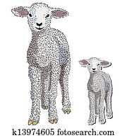 Baby lamb vector Baby lamb vector