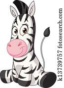 Baby zebra Baby zebra