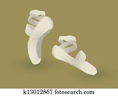 Ballet shoes Ballet shoes