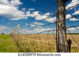 barbed wire fence in Kansas pasture