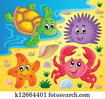 Beach with shells and sea animals 3 Beach with shells and sea animals 3