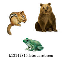 Bear, Chipmunk, and frog Bear, Chipmunk, and frog