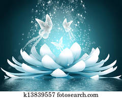 Beautiful lotus flower Beautiful lotus flower