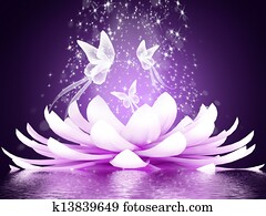 Beautiful lotus flower Beautiful lotus flower