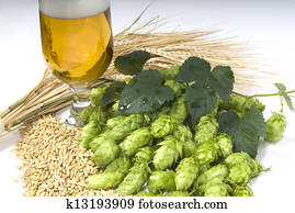 beer beer