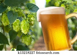 beer beer
