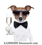 beifall, hund beifall, hund