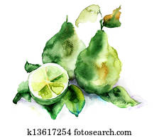 Bergamot fruits Bergamot fruits