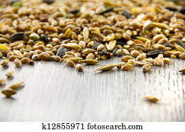 Bird seed mix, differential focus
