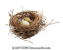 bird's nest and eggs bird's nest and eggs