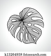 Black macro palm leaf isolated.