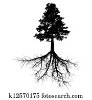 Black tree with roots Black tree with roots