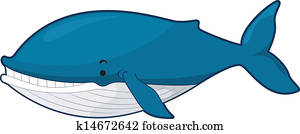 blauwale blauwale
