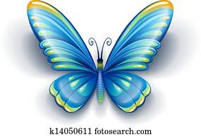 blue butterfly with color wings blue butterfly with color wings