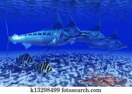 Blue Marlin Pack Blue Marlin Pack