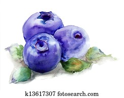 Blueberries with leaves Blueberries with leaves