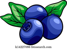 blueberry fruits cartoon illustration blueberry fruits cartoon illustration
