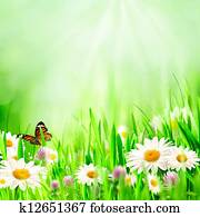 bonito, primavera, fundos, com, chamomile, flores