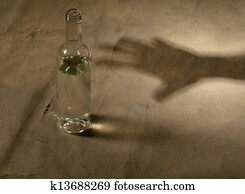 bottle with alcohol bottle with alcohol