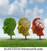 Brain Aging Brain Aging