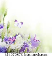 Bridal bouquet from white and pink flowers, butterfly Bridal bouquet from white and pink flowers, butterfly
