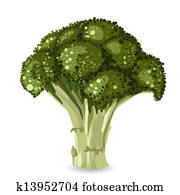 broccoli broccoli