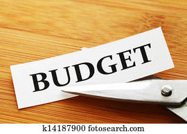 Budget cut