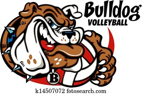 bulldog with volleyball bulldog with volleyball
