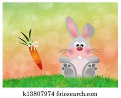 Bunny Bunny