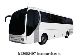 bus bus
