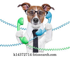 business dog business dog