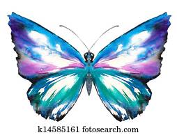 Butterfly Butterfly