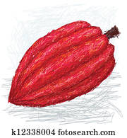 cacao pod cacao pod