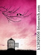 Cage bird Cage bird