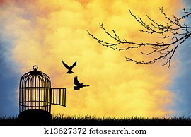 Cage for bird Cage for bird