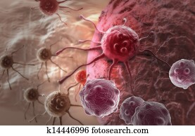cancer cell cancer cell