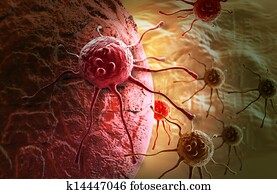 cancer cell cancer cell