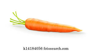 Carrot Carrot