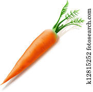 Carrot isolated on white background Carrot isolated on white background
