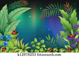 cinco, bugs, em, um, floresta amazônica