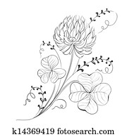 Clover flowers isolated. Clover flowers isolated.