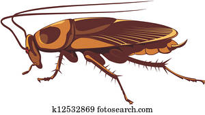 cockroach cockroach