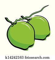 Coconut design Coconut design