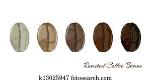 Coffee bean roasting stages