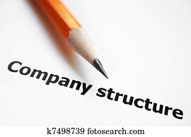 Company structure Company structure