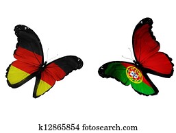 conceito, -, dois, borboletas, com, alemão, e, português, bandeiras, voando, semelhante, dois, equipes futebol americano, tocando conceito, -, dois, borboletas, com, alemão, e, português, bandeiras, voando, semelhante, dois, equipes futebol americano, tocando