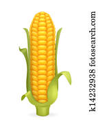 Corn Corn