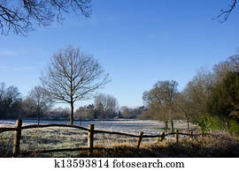 Country Scene in Winter