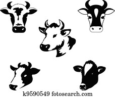 Cow Cow