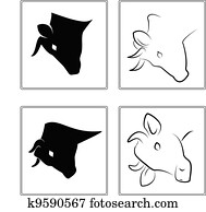 Cow Cow